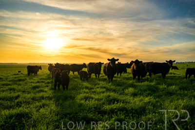 October 2022 / Mt-Shank-221017-4238