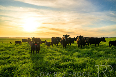 October 2022 / Mt-Shank-221017-4243