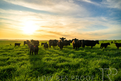 October 2022 / Mt-Shank-221017-4244