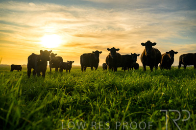 October 2022 / Mt-Shank-221017-4247