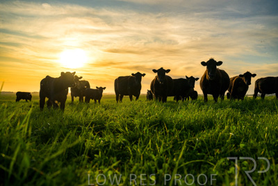 October 2022 / Mt-Shank-221017-4250