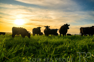 October 2022 / Mt-Shank-221017-4251