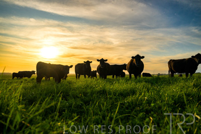 October 2022 / Mt-Shank-221017-4254