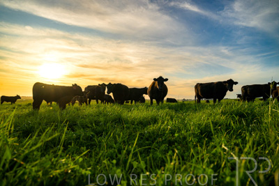 October 2022 / Mt-Shank-221017-4256