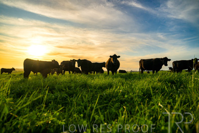 October 2022 / Mt-Shank-221017-4258