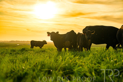 October 2022 / Mt-Shank-221017-4259