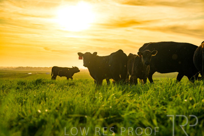 October 2022 / Mt-Shank-221017-4262