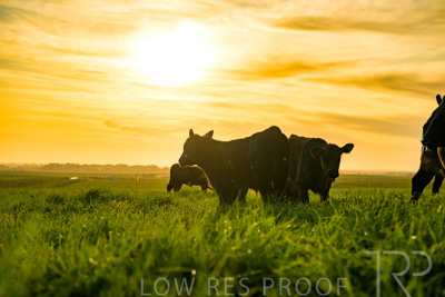 October 2022 / Mt-Shank-221017-4265