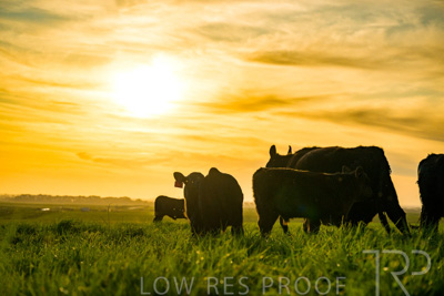 October 2022 / Mt-Shank-221017-4273