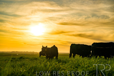 October 2022 / Mt-Shank-221017-4278