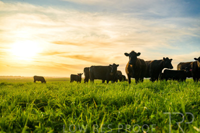 October 2022 / Mt-Shank-221017-4283