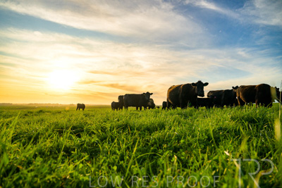 October 2022 / Mt-Shank-221017-4290