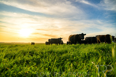 October 2022 / Mt-Shank-221017-4292