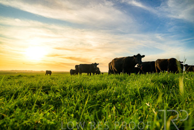 October 2022 / Mt-Shank-221017-4294