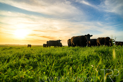 October 2022 / Mt-Shank-221017-4297