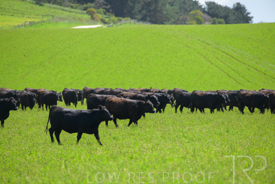 October 2022 / Mt-Shank-221017-5850