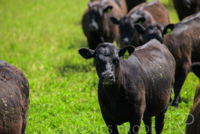 October 2022 / Mt-Shank-221017-5860