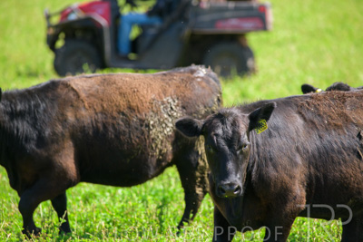 October 2022 / Mt-Shank-221017-5881