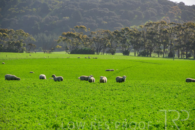 October 2022 / Mt-Shank-221017-5920