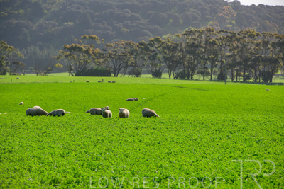 October 2022 / Mt-Shank-221017-5922