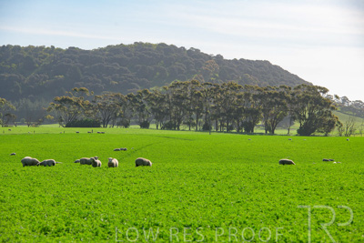 October 2022 / Mt-Shank-221017-5924