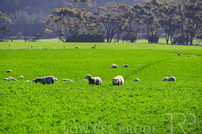 October 2022 / Mt-Shank-221017-5929