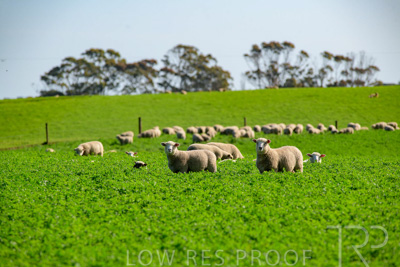 October 2022 / Mt-Shank-221017-5932