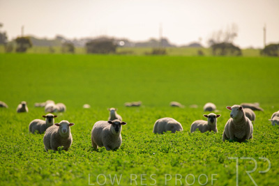 October 2022 / Mt-Shank-221017-5983