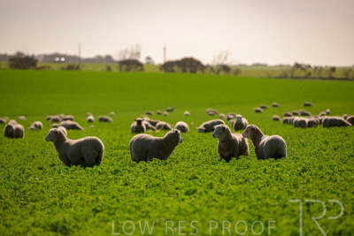 October 2022 / Mt-Shank-221017-5998