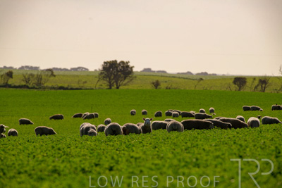 October 2022 / Mt-Shank-221017-6026