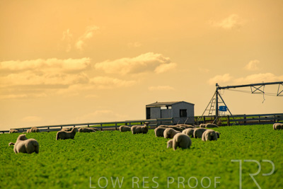 October 2022 / Mt-Shank-221017-6035