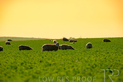 October 2022 / Mt-Shank-221017-6044