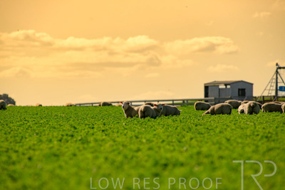 October 2022 / Mt-Shank-221017-6055