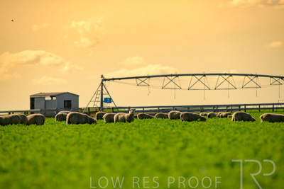 October 2022 / Mt-Shank-221017-6065