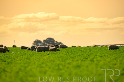 October 2022 / Mt-Shank-221017-6071