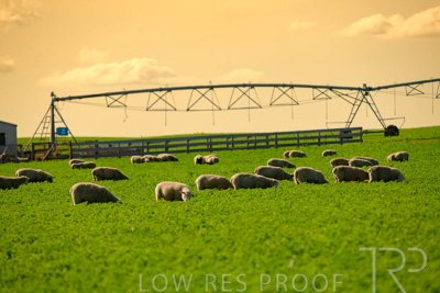 October 2022 / Mt-Shank-221017-6076