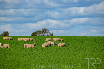 October 2022 / Mt-Shank-221017-6079