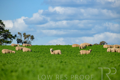 October 2022 / Mt-Shank-221017-6084