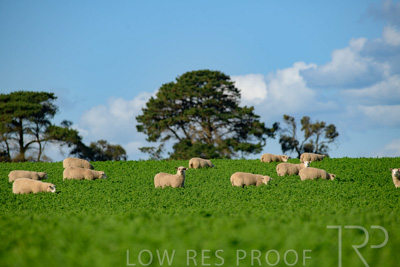 October 2022 / Mt-Shank-221017-6089