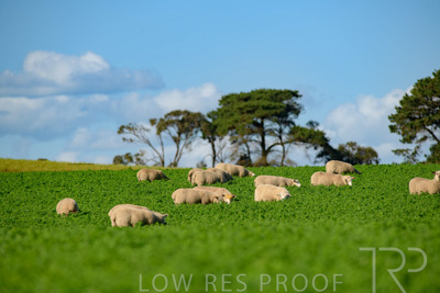 October 2022 / Mt-Shank-221017-6100