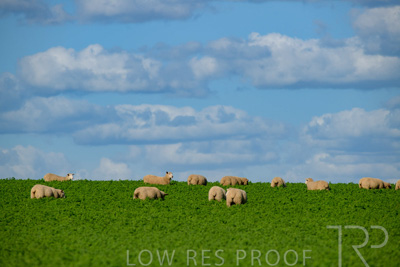 October 2022 / Mt-Shank-221017-6122