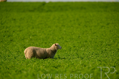 October 2022 / Mt-Shank-221017-6180