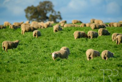 October 2022 / Mt-Shank-221017-6213