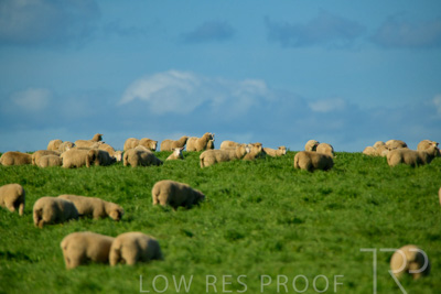 October 2022 / Mt-Shank-221017-6215