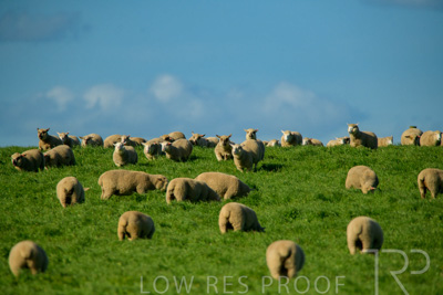 October 2022 / Mt-Shank-221017-6226