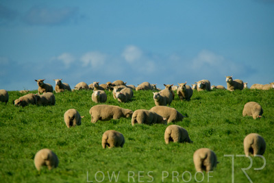 October 2022 / Mt-Shank-221017-6229