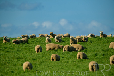 October 2022 / Mt-Shank-221017-6230