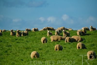 October 2022 / Mt-Shank-221017-6233