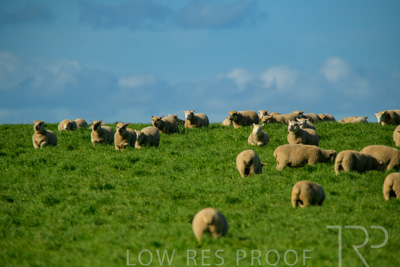 October 2022 / Mt-Shank-221017-6236