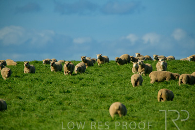 October 2022 / Mt-Shank-221017-6239